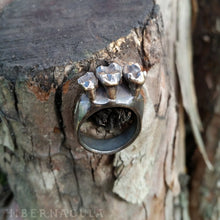 Load image into Gallery viewer, Omnivore -- Tooth Ring in Bronze or Silver | Hibernacula