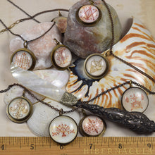 Load image into Gallery viewer, Erzulie -- Lady of Love -- Voodoo Veve Talisman | Hibernacula