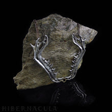 Load image into Gallery viewer, Predator Collar -- Jawbone Necklace in White Brass or Bronze | Hibernacula
