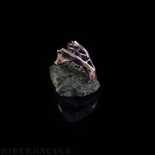 Load image into Gallery viewer, Hunter -- Jawbone Ring in Bronze or Silver | Hibernacula