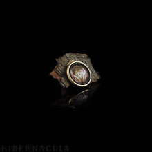 Load image into Gallery viewer, Bear Spirit -- Brass Animal Totem Pendant | Hibernacula
