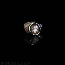 Load image into Gallery viewer, Octopus Spirit -- Brass Animal Totem Pendant | Hibernacula