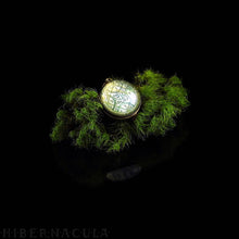 Load image into Gallery viewer, 4th & 5th Pentacles of Venus -- A Talisman for Erotic Love | Hibernacula