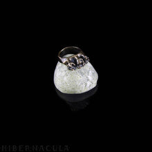 Load image into Gallery viewer, Omnivore -- Tooth Ring in Bronze or Silver | Hibernacula