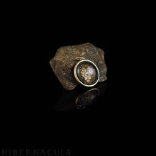 Load image into Gallery viewer, Lion Spirit -- Brass Animal Totem Pendant | Hibernacula
