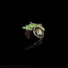 Load image into Gallery viewer, Turtle Spirit -- Brass Animal Totem Pendant | Hibernacula