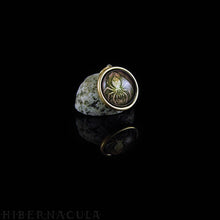 Load image into Gallery viewer, Spider Spirit -- Brass Animal Totem Pendant | Hibernacula