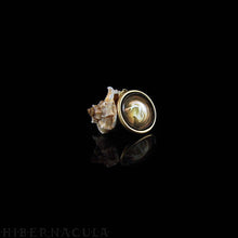 Load image into Gallery viewer, Dolphin Spirit -- Brass Animal Totem Pendant | Hibernacula