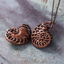 Load image into Gallery viewer, Ammonite Reliquary -- Red Opal Ammolite in Bronze or Silver | Hibernacula