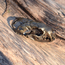 Load image into Gallery viewer, Tenacity -- Articulated Mink/Mustelidae Skull - Bronze Pendant or Sculpture | Hibernacula