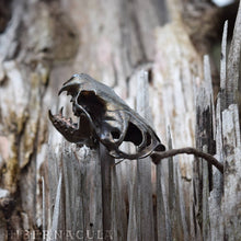 Load image into Gallery viewer, Tenacity -- Articulated Mink/Mustelidae Skull - Bronze Pendant or Sculpture | Hibernacula