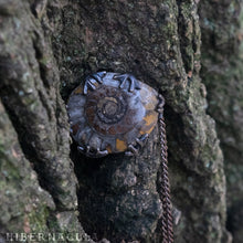 Load image into Gallery viewer, Ammonite Moon -- Fossil Red Ammonite in Bronze or Silver | Hibernacula