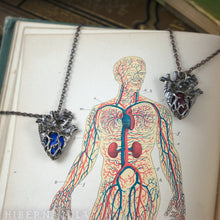 Load image into Gallery viewer, Heart of Stone -- Lapis Lazuli or Cherry Quartz Miniature Anatomical Heart Pendant | Hibernacula