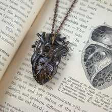 Load image into Gallery viewer, Caramel Heart -- Banded Carnelian Agate Anatomical Pendant | Hibernacula