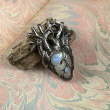 Load image into Gallery viewer, Lunar Heart -- Rainbow Moonstone Anatomical Pendant | Hibernacula