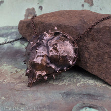 Загрузить изображение в средство просмотра галереи, Armor -- Spider Crab Shell Pendant or Necklace in Bronze or Silver | Hibernacula