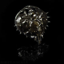 Загрузить изображение в средство просмотра галереи, Armor -- Spider Crab Shell Pendant or Necklace in Bronze or Silver | Hibernacula