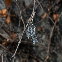 Load image into Gallery viewer, Oak Leaf -- Pendant in Bronze or Silver | Hibernacula