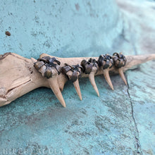 Load image into Gallery viewer, Shark Tooth Amulet | Hibernacula