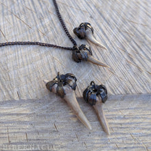 Load image into Gallery viewer, Shark Tooth Amulet | Hibernacula