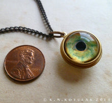 Load image into Gallery viewer, Spherical Numina Iris Pendant -- Bird of Prey, Large | Hibernacula