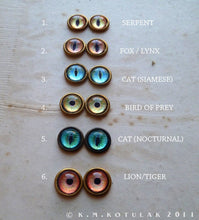 Load image into Gallery viewer, Numina Iris Earrings -- Animal Eye Variations | Hibernacula
