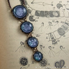 Load image into Gallery viewer, Mitosis -- Illustrated Brass Necklace | Hibernacula