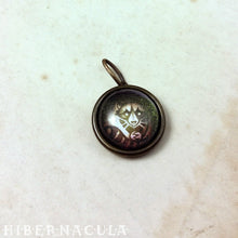 Load image into Gallery viewer, Raccoon Spirit -- Brass Animal Totem Pendant | Hibernacula