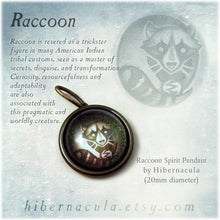 Load image into Gallery viewer, Raccoon Spirit -- Brass Animal Totem Pendant | Hibernacula