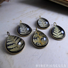 Load image into Gallery viewer, Fern Drop -- Preserved Fern Pendant in Brass | Hibernacula