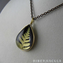 Load image into Gallery viewer, Fern Drop -- Preserved Fern Pendant in Brass | Hibernacula