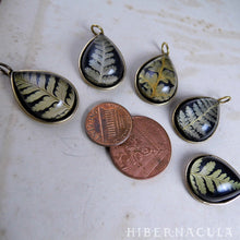 Load image into Gallery viewer, Fern Drop -- Preserved Fern Pendant in Brass | Hibernacula