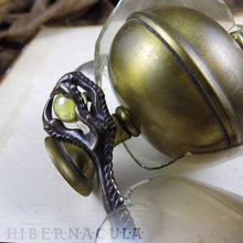 Load image into Gallery viewer, The Talon -- Bronze & Glass Clawed Pendant | Hibernacula