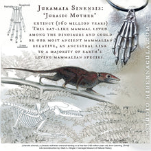 Load image into Gallery viewer, Primal Hamsa -- Juramaia Sinesis Fossil Pendant in Bronze or Silver with Raw Diamond | Hibernacula