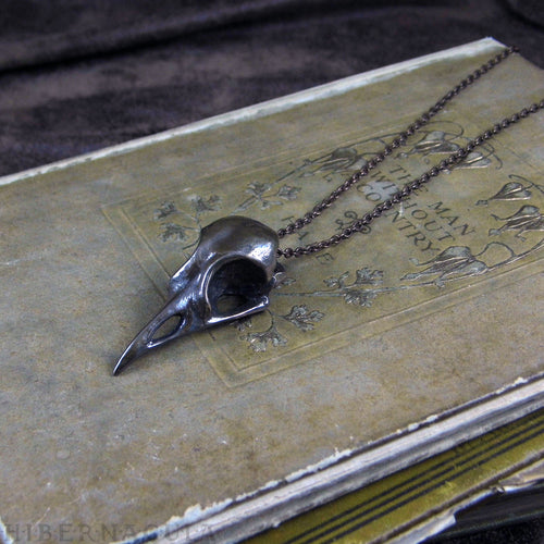 Corvid Skull  -- Pendant in Bronze or Silver | Hibernacula