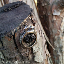 Load image into Gallery viewer, Scavenger -- Tooth Ring in Bronze or Silver | Hibernacula
