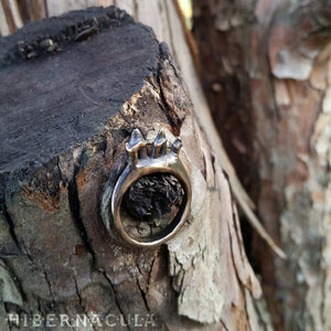 Scavenger -- Tooth Ring in Bronze or Silver | Hibernacula