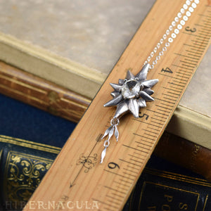 The Star -- Silver & Gemstone Pendant & Chain | Hibernacula
