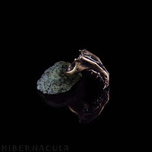 Загрузить изображение в средство просмотра галереи, Hunter -- Jawbone Ring in Bronze or Silver | Hibernacula
