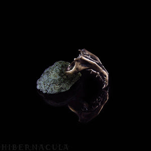 Hunter -- Jawbone Ring in Bronze or Silver | Hibernacula