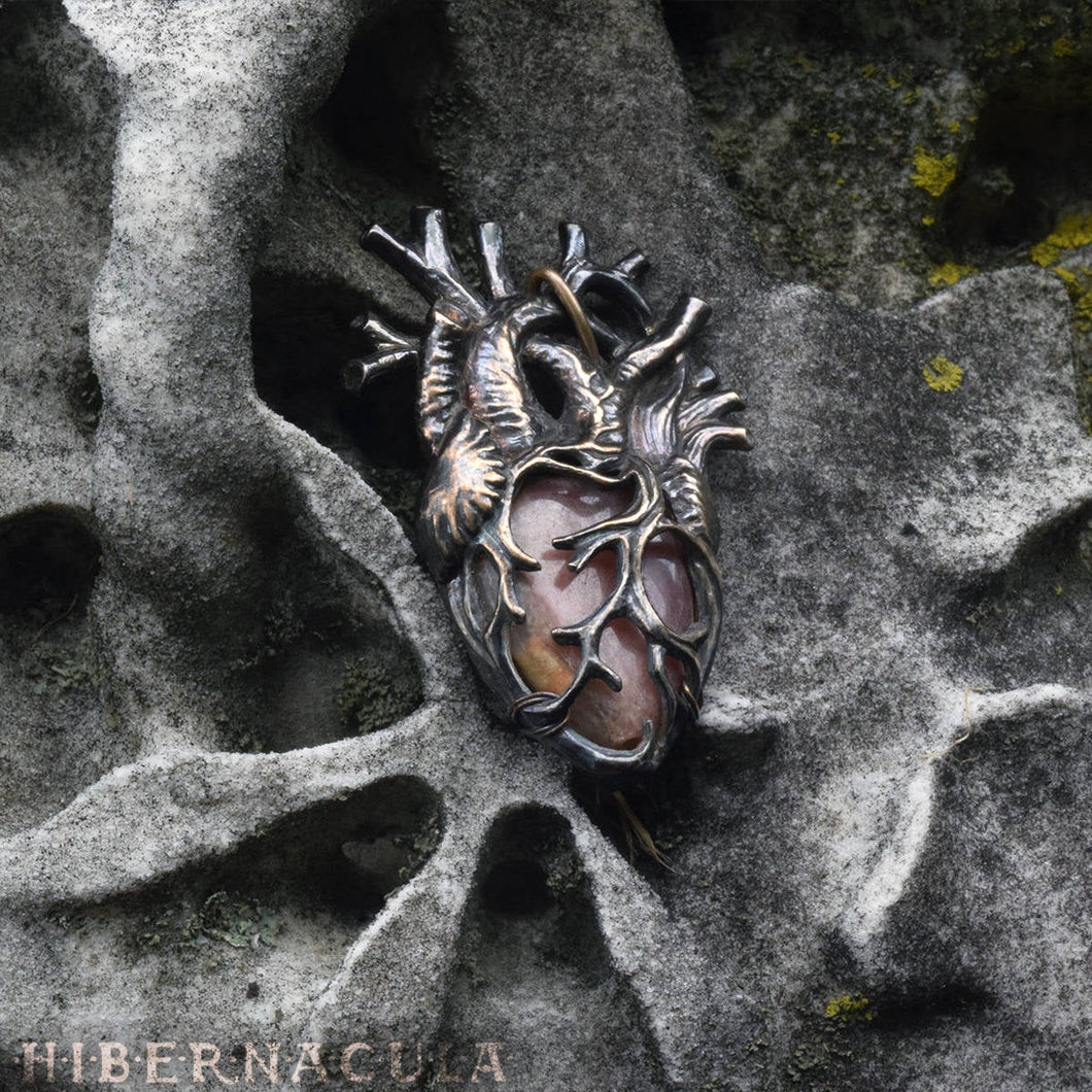 Compassionate Heart -- Anatomical Pendant in Bronze or Silver | Hibernacula