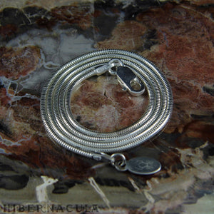 Sterling Silver Snake Chain | Hibernacula