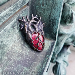 Red Heart, Heart of Stone -- Anatomical Heart Pendant in Bronze or Silver | Hibernacula