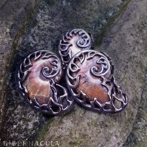 Ammonite Reliquary -- Red Opal Ammolite in Bronze or Silver | Hibernacula