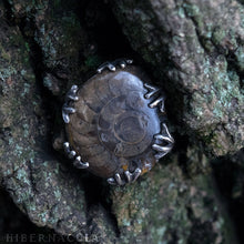 Загрузить изображение в средство просмотра галереи, Ammonite Moon -- Fossil Red Ammonite in Bronze or Silver | Hibernacula

