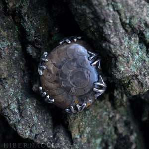 Ammonite Moon -- Fossil Red Ammonite in Bronze or Silver | Hibernacula