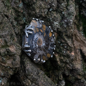 Ammonite Moon -- Fossil Red Ammonite in Bronze or Silver | Hibernacula