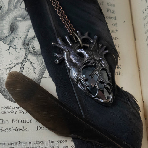 The Raven Heart -- Anatomical Pendant in Bronze | Hibernacula
