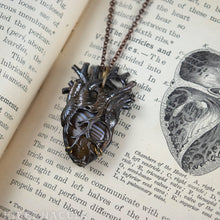 Load image into Gallery viewer, Caramel Heart -- Banded Carnelian Agate Anatomical Pendant | Hibernacula
