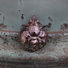 Загрузить изображение в средство просмотра галереи, Armor -- Spider Crab Shell Pendant or Necklace in Bronze or Silver | Hibernacula
